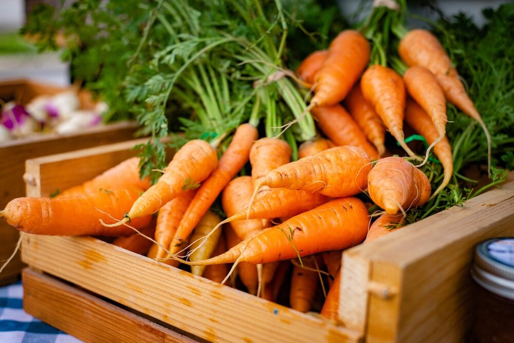 What Are The Promising Health Benefits Of Carrots? post thumbnail image